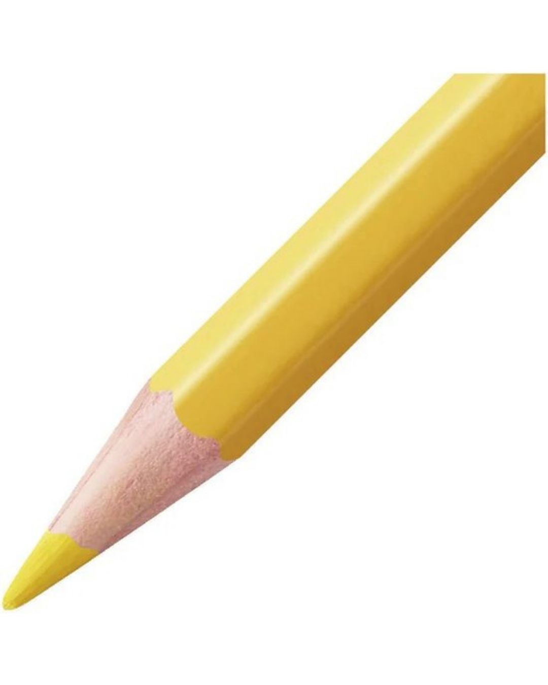 STABILO Aquacolor potloden kleurenkaart – 24 pigmentkleuren
